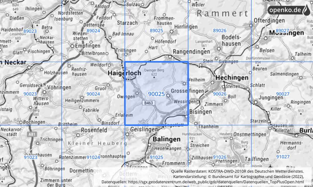 Übersichtskarte KOSTRA-DWD-2010R Rasterfeld Nr. 90025 mit angrenzenden Feldern