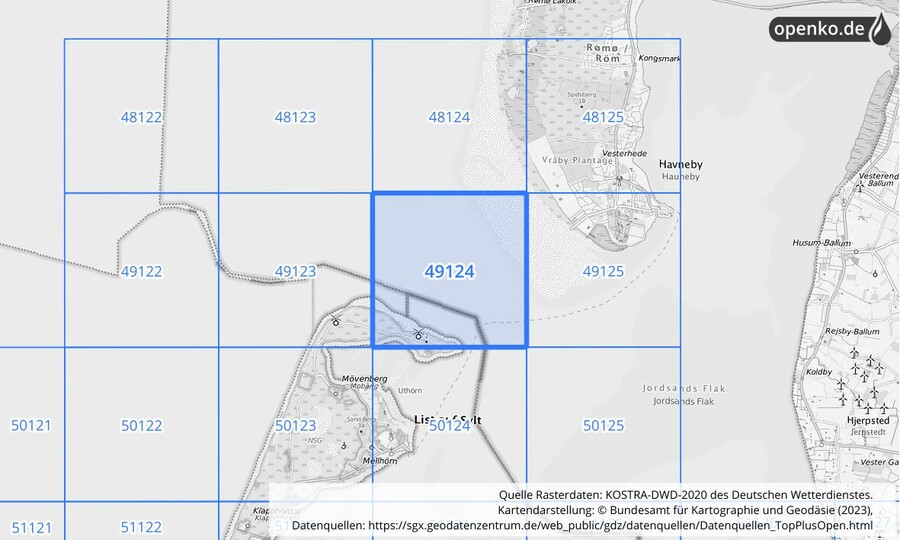 Übersichtskarte des KOSTRA-DWD-2020-Rasterfeldes Nr. 49124