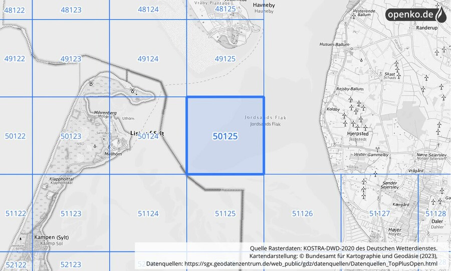 Übersichtskarte des KOSTRA-DWD-2020-Rasterfeldes Nr. 50125